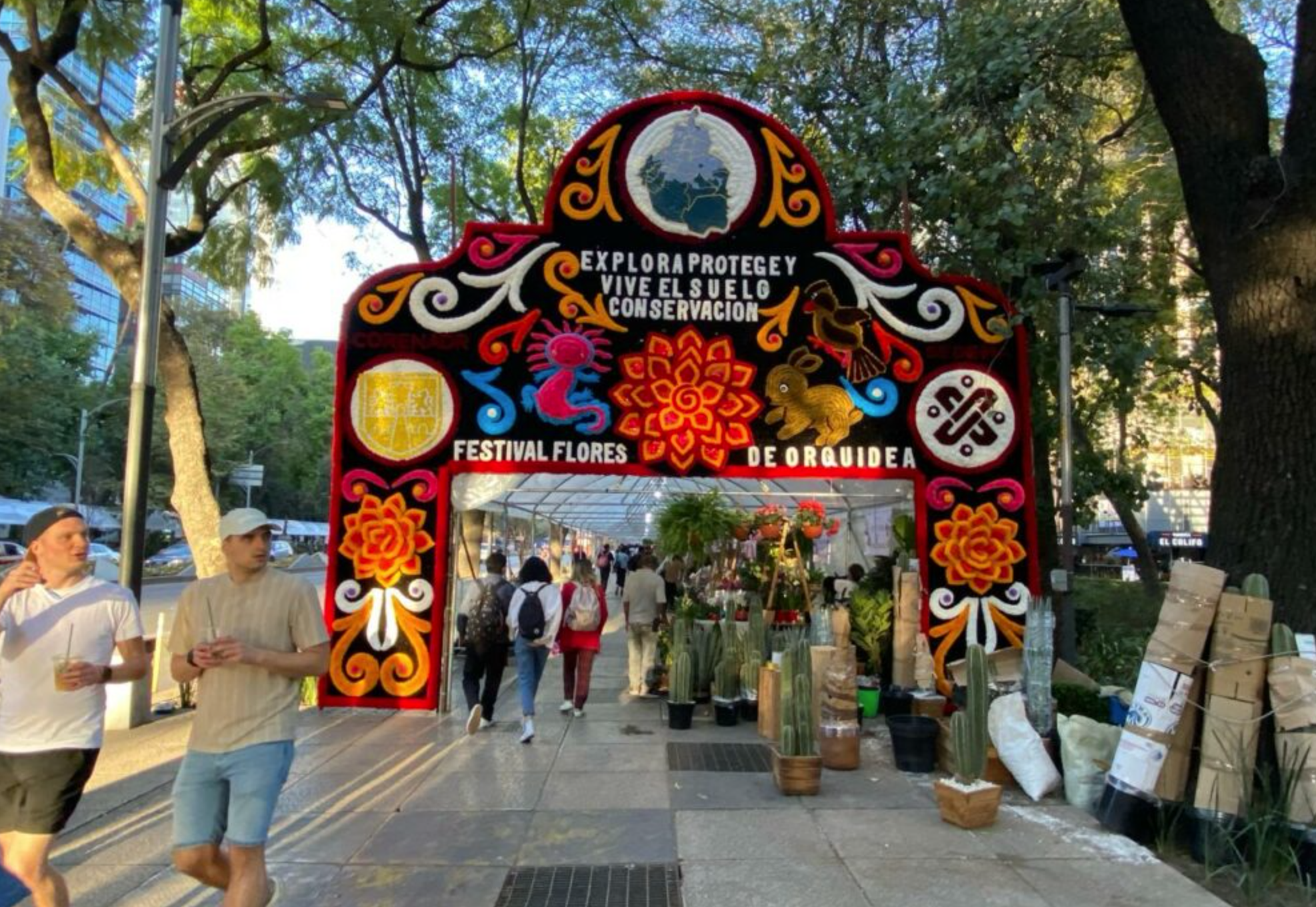 Festival de las Flores de Orquídeas en CDMX